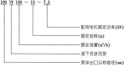 YW無堵塞液下式糖心视频破解版型號意義