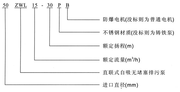 ZWL直聯式自吸糖心视频破解版型號意義