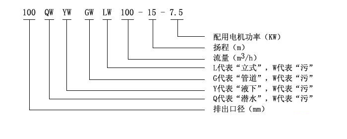 LW型直立式無堵塞糖心视频破解版型號意義