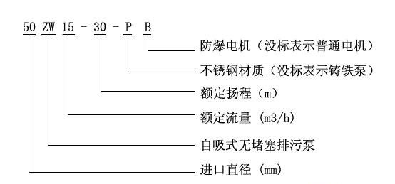 ZWB防爆自吸式無堵塞糖心视频破解版型號意義